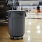Rubbermaid Commercial Container Dolly for BRUTE 20-55 gal Containers, 250 lb Load Capacity, 5 Swivel Casters, Black FG264000BLA - alternate 5