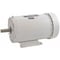 Dayton Washdown Motor, 3 Ph, TEFC, 2 HP, 1745 rpm 5XAT5 - alternate 2