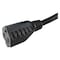 Zoro Select SJT Extension Cord, 16 AWG, Indoor, 16/3, 1 Outlets, 5-15R, Black, PVC, 5-15P, 2 ft 5XFP7ID - alternate 3