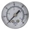 Pic Gauges Industrial Pressure Gauge, 0 to 60 psi, 1 1/2 in Dial, 1/8 in BSPT, Center Back Location SEP-102D-158D-BSPT - alternate 1