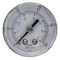 Pic Gauges Industrial Pressure Gauge, 0 to 100 psi, 1 1/2 in Dial, 1/8 in BSPT, Center Back Location SEP-102D-158E-BSPT - alternate 1