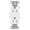 Hubbell Wiring Device-Kellems Straight Blade Receptacle, 5-15R, 15 A, 125V AC, 2 Pole, 3 Wire, Flush Mount, Self-Grounded RRD15SWTR - alternate 1