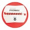 Champion Sports Rhino Promax Slam Workout Ball, 14", 4lb RPX4 - alternate 1