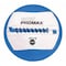 Champion Sports Rhino Promax Slam Workout Ball, 14", 12lb RPX12 - alternate 1