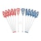 Champion Sports Soft Lacrosse Set, 12 Sticks, 6 Balls, PK18 LAXSR - alternate 1