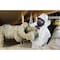 Sundstrom Safety Full Face Respirator, SR 200, Not Rated, Snap-In Gasket, Size, M 0 Cartridges Included SR 200 PC - alternate 2