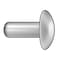 Zoro Select Solid Rivet, Brazier Head, 0.125 in Dia., 0.25 in L, Aluminum Body, 250 PK 55A0404-EA-250 - alternate 1