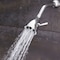 Speakman wall, Shower Head, Polished Chrome, Wall S-2252 - alternate 7