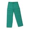 Zoro Select Flame-Retardant Treated Cotton Pants, Green, 3XL 5WYR3 - alternate 1
