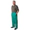 Zoro Select Flame-Retardant Treated Cotton Pants, Green, 3XL 5WYR3 - alternate 2
