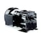 Dayton AC Gearmotor, 278 in-lb Max. Torque, 30 RPM Nameplate RPM, 115/230V AC Voltage, 1 Phase 6Z818 - alternate 1