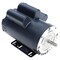 Leeson Pressure Washer Motor, 2 hp, 1725 RPM 113281.00 - alternate 2