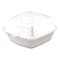 Dart Carryout Food Container, Foam, 1-Co, PK500 50HT1 - alternate 1