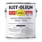Rust-Oleum Epoxy Activator and Finish Kit, White, Gloss, 1 gal, 9100 Series 9192 - alternate 1