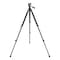 Bushnell Outdoor Products Tripod, Stand-Up, Flat, L61In 784030 - alternate 1