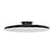Afx LED Flush Mount, 19 in D, Black, Steel SKYF19LAJD1BK - alternate 1