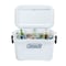 Coleman Marine Chest Cooler, 52 qt, 15" L, 25" H 3000006578 - alternate 2