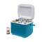 Coleman Personal Cooler, 16 qt, Plastic, Blue/White 2160841 - alternate 3