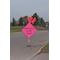 Eastern Metal Signs And Safety Sobriety Checkpoint Traffic Sign, 36 in W, 36 in H, Vinyl, Pink C/36-SBFP-3FH-HD-SOBRIETY CHECKPOINT - alternate 3