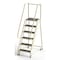 Ega 7.5 ft H Steel Rolling Ladder, 6 Steps, 450 lb Load Capacity F009 - alternate 1