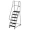 Ega 7.5 ft H Steel Rolling Ladder, 6 Steps, 450 lb Load Capacity CA-F009-G - alternate 1