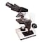 Lw Scientific Microscope, Revelation-III, Binocular R3M-BN4A-DAL3 - alternate 2