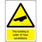 Electromark Security Sign, 24 in Height, 18 in Width, Plastic, English S1294R - alternate 2