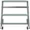 Ballymore 19 in H Steel Rolling Ladder, 2 Steps, 450 lb Load Capacity 218XSU - alternate 3