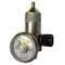 Zoro Select Gas Regulator, 1Lpm 518SS - alternate 1