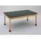 Diversified Spaces LABORATORY TABLE CHEMGRD TOP 30X60X24, Wood, Wood Frame, Wood Surface, 48" W, Beige P7602BK30N - alternate 3