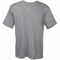 Arborwear Men's Moisture-Wicking Tech T-shirt, 15% Cotton, 85% Polyester, 0 Pocket(s), Gray, L 706563 GRAY L - alternate 1