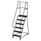 Ega 7.5 ft H Steel Rolling Ladder, 6 Steps, 450 lb Load Capacity CA-F009-BL - alternate 1