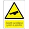 Electromark Security Sign, 24 in Height, 18 in Width, Plastic, English Y619630 - alternate 2