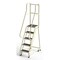 Ega 6.7 ft H Steel Rolling Ladder, 5 Steps, 450 lb Load Capacity CA-F008 - alternate 1