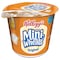 Frosted Mini-Wheats 2.5 oz Frosted Mini Wheats Cereal, 6 PK 3800042798 - alternate 1