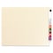 Zoro Select File Folder End Tab, Manila, PK100 24110 - alternate 1