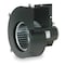 Dayton Rectangular OEM Blower, 1700 RPM, 1 Phase, Direct Drive, Steel 1 Speed 3FRG3 - alternate 1