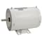 Dayton Washdown Motor, 3 Ph, TENV, 3/4 HP, 3450 rpm 1TRZ8 - alternate 2
