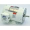 Dayton Washdown Motor, 3 Ph, TENV, 3/4 HP, 1725 rpm 1TRZ4 - alternate 1