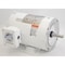 Dayton Washdown Motor, 3 Ph, TENV, 3/4 HP, 1725 rpm 1TRZ4 - alternate 3