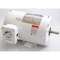 Dayton Washdown Motor, 3 Ph, TENV, 1 HP, 1725 rpm 1TTC1 - alternate 1