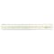 Westcott Ruler, 15 Inch, Data Highlight 10580 - alternate 1