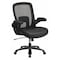 Flash Furniture Contemporary Office Chair, Black Back, 31-1/2 in W 28-1/2" L 47-1/2" H, Padded Flip-up BT-20180-LEA-GG - alternate 1