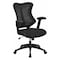 Flash Furniture High Back Designer Black Mesh Swivel Ergonomic Office Chair with Adjustable Arms BL-ZP-806-BK-GG - alternate 1