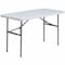 Flash Furniture Rectangle Wh 24X48 Plastic Fold Table, 24" W, 48.25" L, 29" H, Plastic Top, White DAD-YCZ-122-2-GG - alternate 1