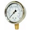 Pic Gauges Industrial Pressure Gauge, 0 to 3,000 psi, 2 1/2 in Dial, 1/4 in NPT, Bottom Location PRO-201L-254P - alternate 2