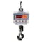 Adam Equipment Crane Scale, Digital, 4000 lb./2000kg LHS 4000A - alternate 2