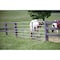 Tarter 50'' H.x14 ' L.x1-3/4'' Tube Diameter Galvanized Tube Gate 6GG14 - alternate 1