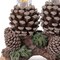 Homeroots Set of Three Clear Flameless Taper Candles In Brown And Green Resin Pinecone Holder, 3PK 633980 - alternate 4