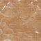 Homeroots 9' X 12' Copper Brown And Ivory Abstract Washable Indoor Outdoor Area Rug 601090 - alternate 7